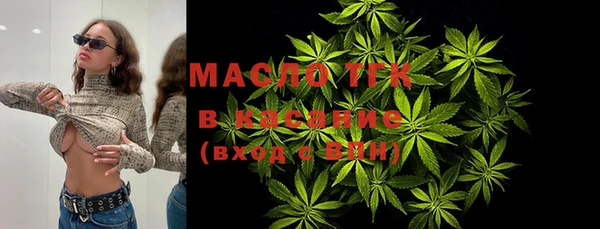 индика Верхний Тагил